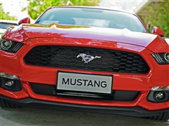 (),Ұ,2015 2.3T 50,ϸʵͼƬ