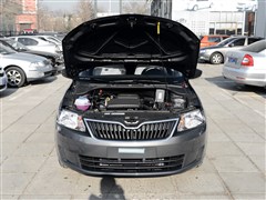 Ϻ˹´,,2015 1.6L ֶѡ,ϸʵͼƬ