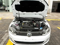 һ��-����,�߶���,2015�� 1.4TSI �Զ�������,����ϸ��ʵ��ͼƬ