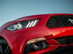 (),Ұ,2015 5.0L GT ܰ,ϸʵͼƬ