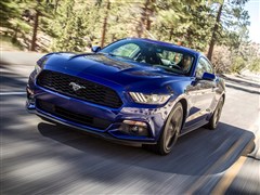 2015 5.0L GT ܰ