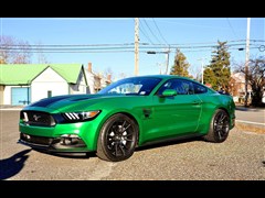 (),Ұ,2015 5.0L GT ܰ,װʵͼƬ