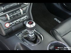 2015 5.0L GT ܰ