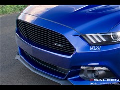 2015 5.0L GT ܰ
