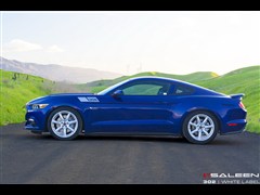2015 5.0L GT ܰ