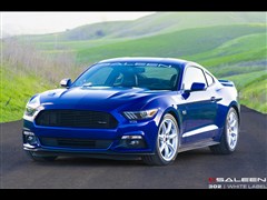 2015 5.0L GT ܰ