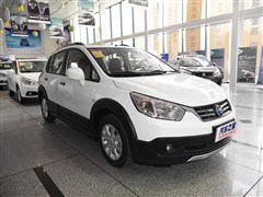 2015�� 1.6L �ֶ�������