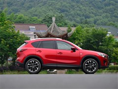2015 2.5L Զ콢