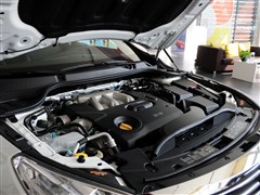 2013 2.5L Nappa콢