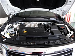 2013 2.5L Nappa콢