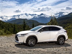 ׿˹,׿˹NX,2014 200t F SPORT,ʵͼƬ