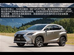 ׿˹,׿˹NX,2014 200t F SPORT,ͼʵͼƬ