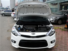 2014 1.6L ԶGL