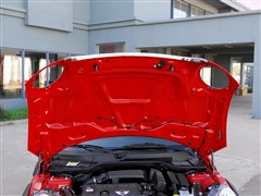 MINI,MINI,2010 1.6L COOPER Cheer,ϸʵͼƬ