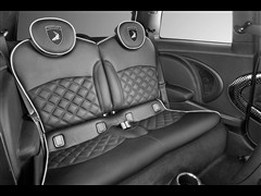 MINI,MINI,2010 1.6L COOPER Cheer,װʵͼƬ