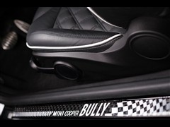 MINI,MINI,2010 1.6L COOPER Cheer,װʵͼƬ
