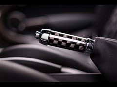 2010 1.6L COOPER Cheer