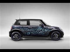 2010 1.6L COOPER Cheer