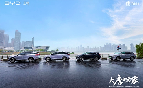 DM-iǼݰ175KMڳɳ캽 17.98Ԫ