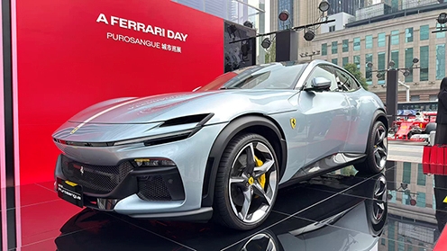 ɳֺʢ磡PurosangueΣ296 GTSSF16-H𺳵ǳ