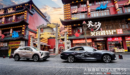 ݲʣ55 Ĵݶ&CS55 PLUS˫ɳ