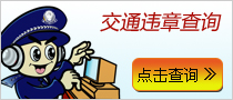 交通违章查询